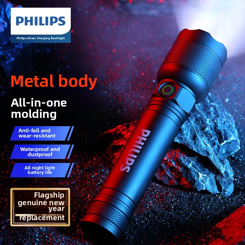 Outdoor Lighting Guide - 2025 NUEVA linterna LED Philips SFL2188